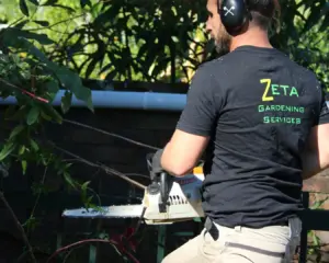 local gardener expert