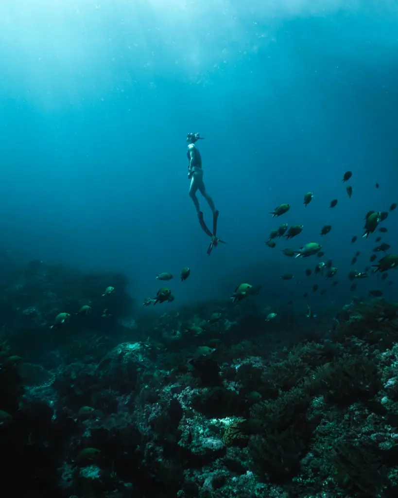 A freediver descending deep into blue ocean water surrounded by a school of small fish near a dark coral reef.